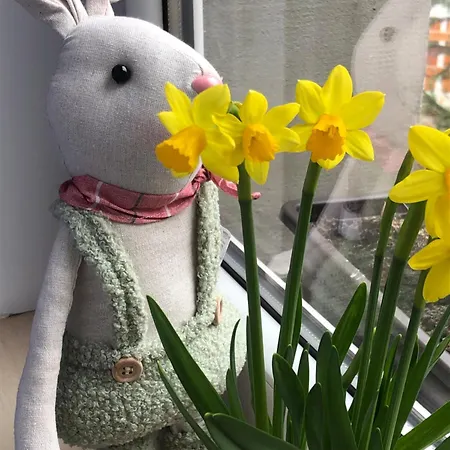 Pawlowka Frühstückspension