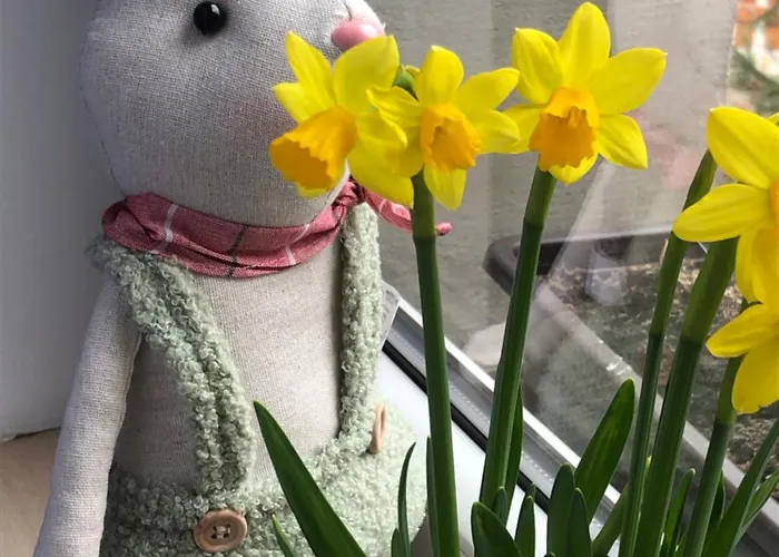 Pawlowka Oda ve Kahvaltı